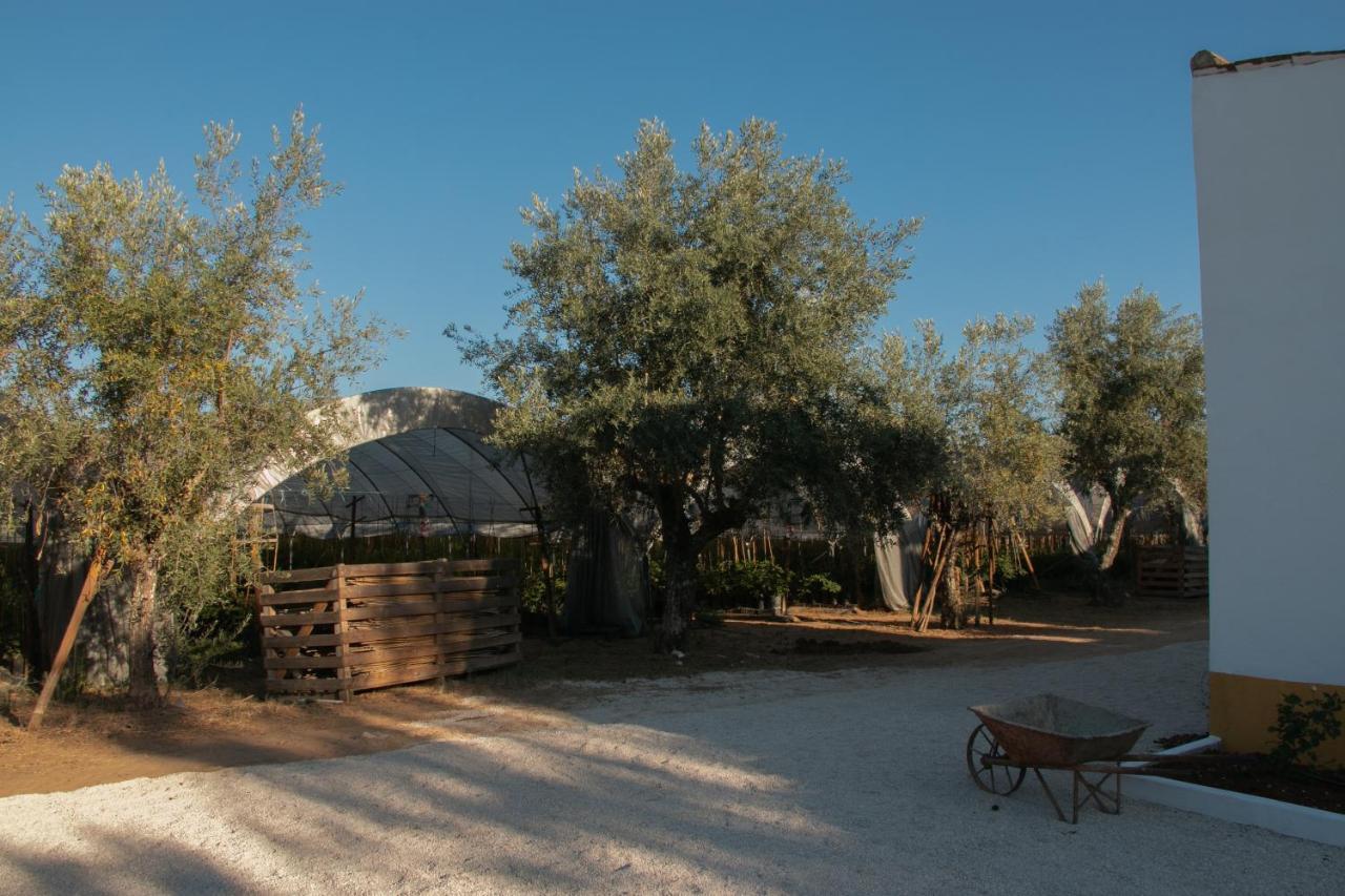 Quinta De Santana Da Varzea آبرانتس المظهر الخارجي الصورة
