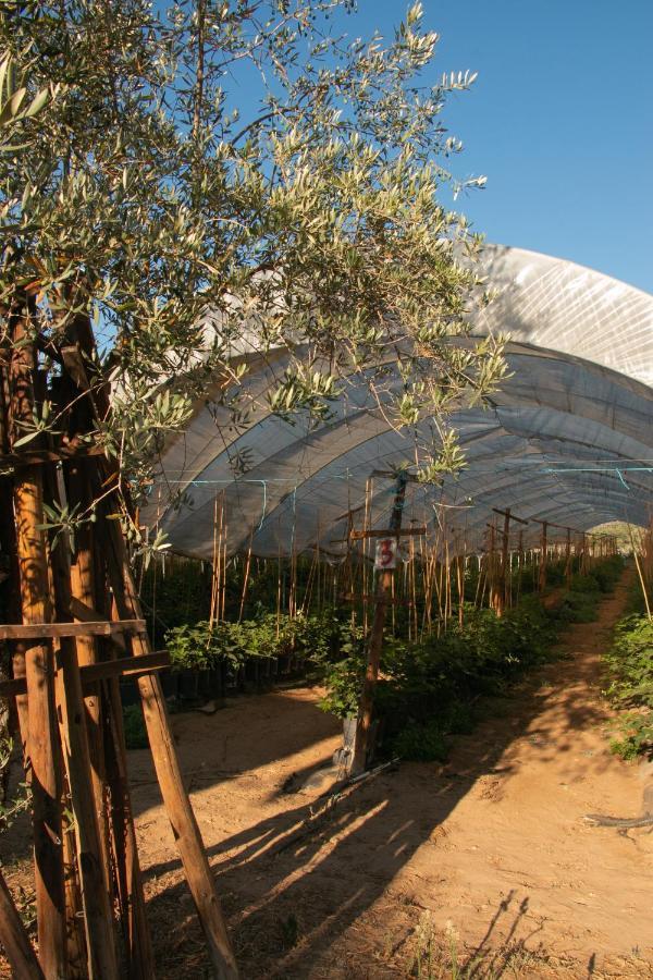Quinta De Santana Da Varzea آبرانتس المظهر الخارجي الصورة