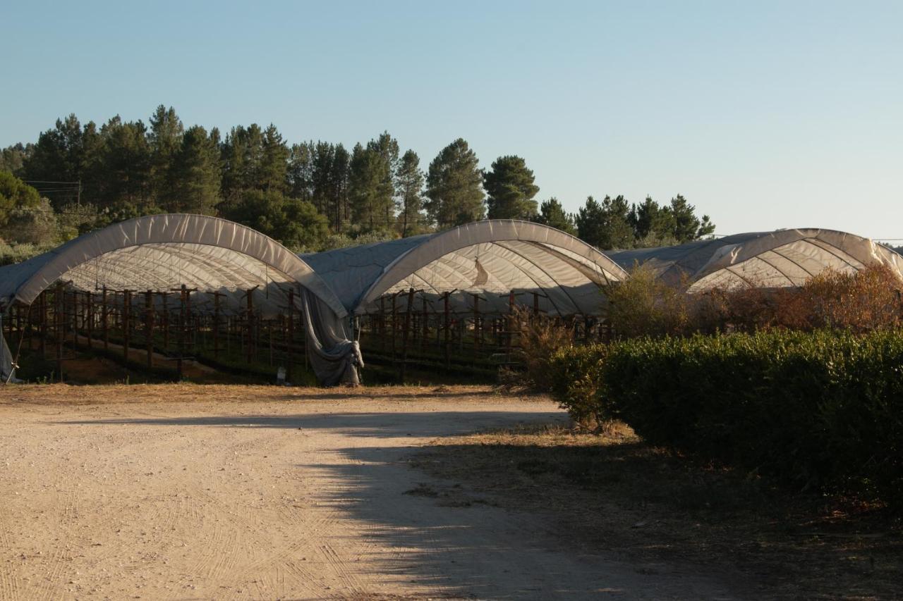 Quinta De Santana Da Varzea آبرانتس المظهر الخارجي الصورة